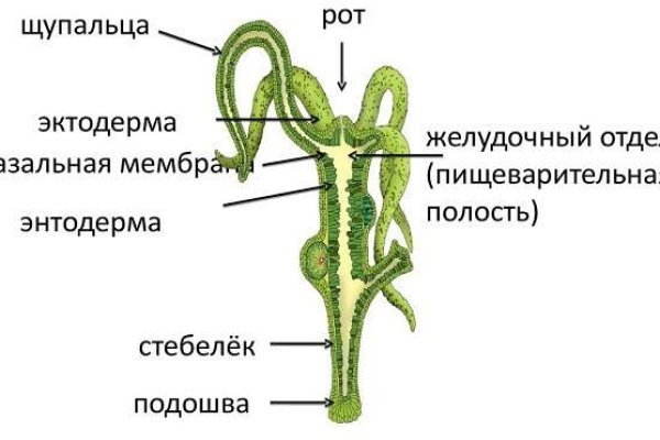 Активная ссылка кракен