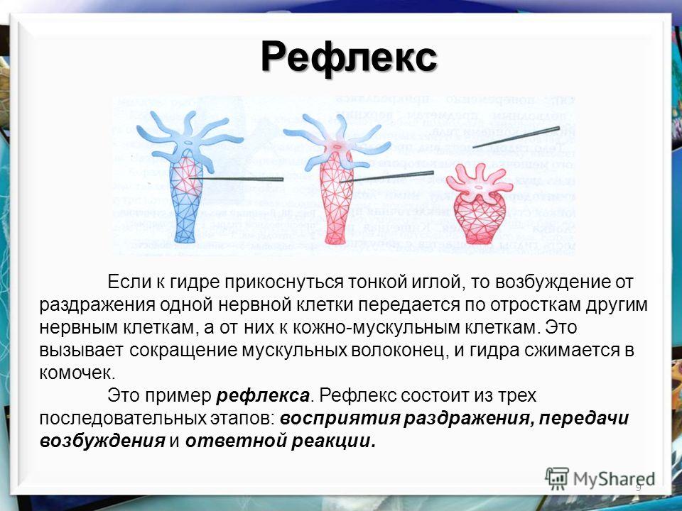 Где брать ссылки на кракен